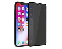 Защ. стекло iPhone 12 Pro Max Full приватное черное